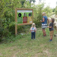 Auf der Familienvariante des Paderborner Höhenwegs