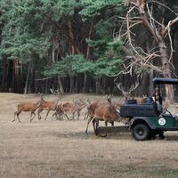 Wildpark Gangelt - Fütterung