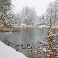 Löwenteich Matzenpark Winter