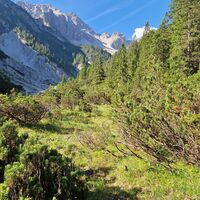 Der Weg entlang vom Bach, der immer links vom Weg entlang läuft. Herrliche Szene im wilden Talgrund.