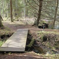 Singletrail