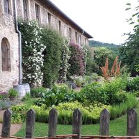 Kloster Michaelstein - Rosenpracht in den Klostergärten