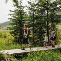 Naturpark Führung_Moorlehrpfad6_Naturpark Almenland_studio draussen_mittel.jpg