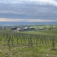 Tiefblick zum Weingut Thallern (auch eine beliebte Backhendlstation gibts da)
