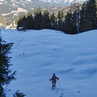 Abstieg über die Almflächen der Schwarzbeeralm