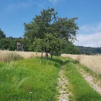 Auf dem Weg zum Rabenwaldkogel in der Oststeiermark
