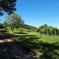 Zwischenrast am Anstieg zum Liebfrauenberg