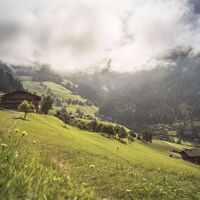 Alpbach Blick auf Erbhof