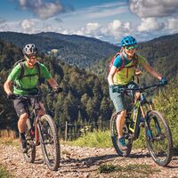 Gipfeltrail im Hochschwarzwald