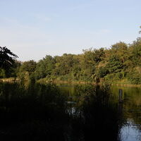 Lobau/Lobgrund - Groß Enzersdorf