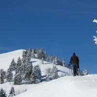 Schneeschuhtrail-Selibüel-Panoramatrail