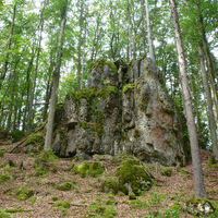 HI_RW1_P1070692_Fels_FotoVF