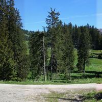 Wegkreuzung am unteren Haselboden