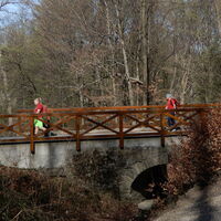 Hütteldorf - Lainzer Tiergarten - Liesing