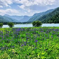 Hintersee