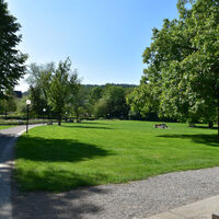 kurpark-bad-zurzach-wiese