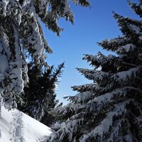 Feistritzsattel - Harterkogel