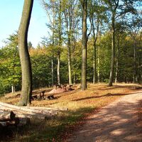 Der Pummpälzweg nahe der Wilden Sau