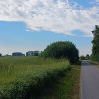Bike Buddies Burgenland