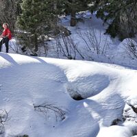 Eine kleine Runde über die Alm