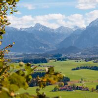 Blick auf das Alpenpanorama und zum Schloss Neuschwanstein