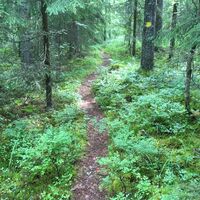 Vilkaharjus Naturpfad