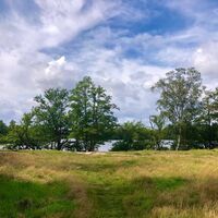 Blick auf den Entenfang