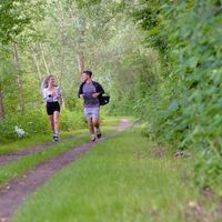 schlossrunde - kobenzer laufstrecken_img_74608024