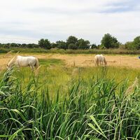 Wanderung Grande Maïre 5