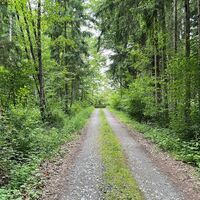 Lange Allee