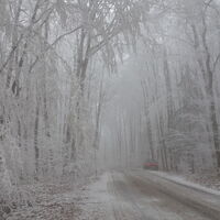 Winterlandschaft auf der L7110