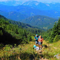 Niederalpl - Hohe Veitsch - Seewiesen