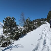 Schneeschuhtrail Selibüel-Panoramatrail