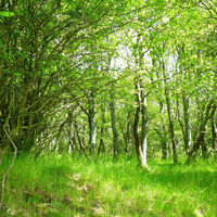 Hilgershäuser Steinwanderweg