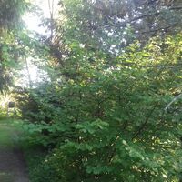 Wanderweg bei der Schickling-Stiftung