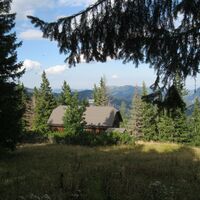 Hinternaßwald - Grenzriegel - Amaißbichl