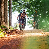 Mountainbiker im Hotzenwald