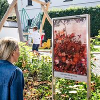 Egon Schiele und das Blumenfeld