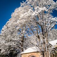 Eingang Schloss Höch