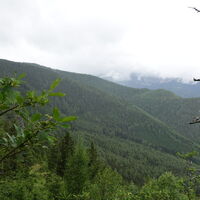 Wanderweg/-steig Ausblick zur Rax