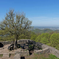 Ausblick-Löwenburg