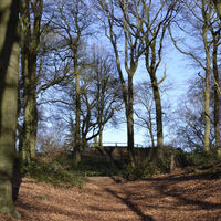Im Tiergartenwald in Kleve