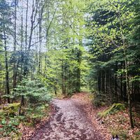 Wanderung Oberwarngau Taubenberg