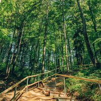 Schelmenklinge Lorch