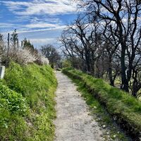 Ein Stück geht hier oberhalb der Trasse auf einem alten Weingartenweg