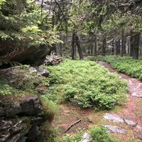 Tauchen - Hochwechsel