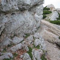 Über den Herminensteig zum Schneeberg