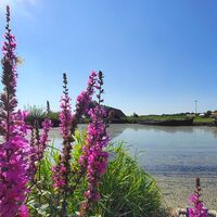 Der Torfschiffhafen Kreuzkuhle inmitten der Natur