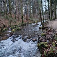 unterwegs am Helenenweg neben der Zeller Ache