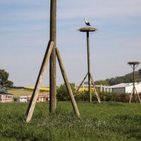 Storchenstation